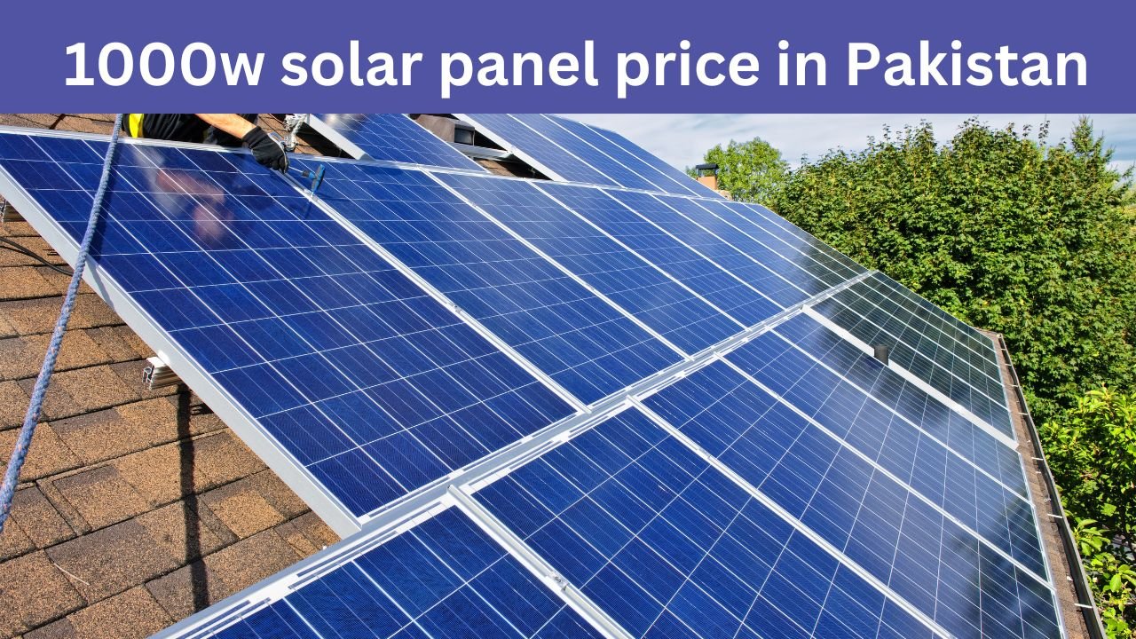 1000w solar panel price in Pakistan